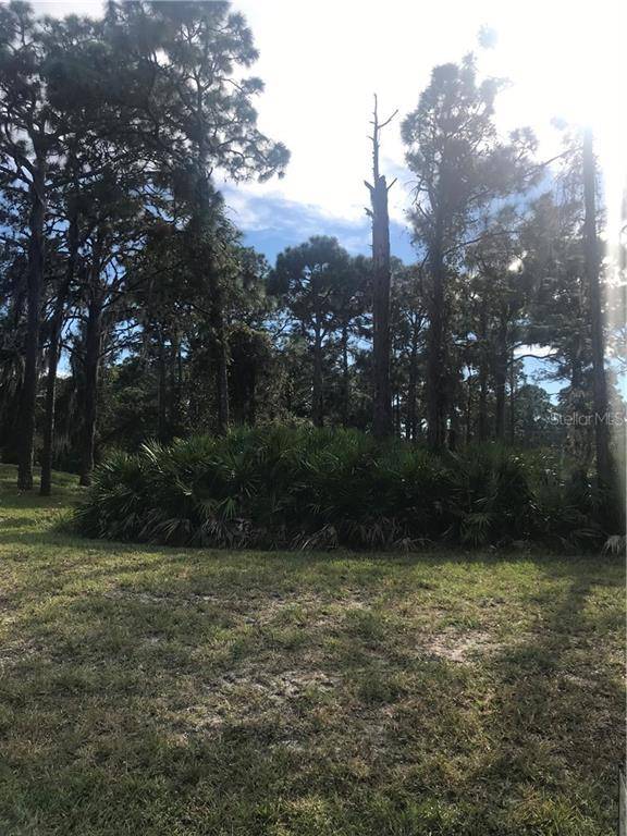 Placida, FL 33946,5 ABACK CT