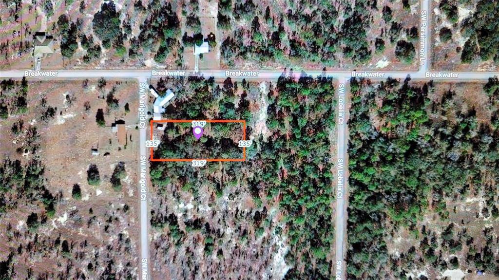 Dunnellon, FL 34431,SW MARIGOLD CT