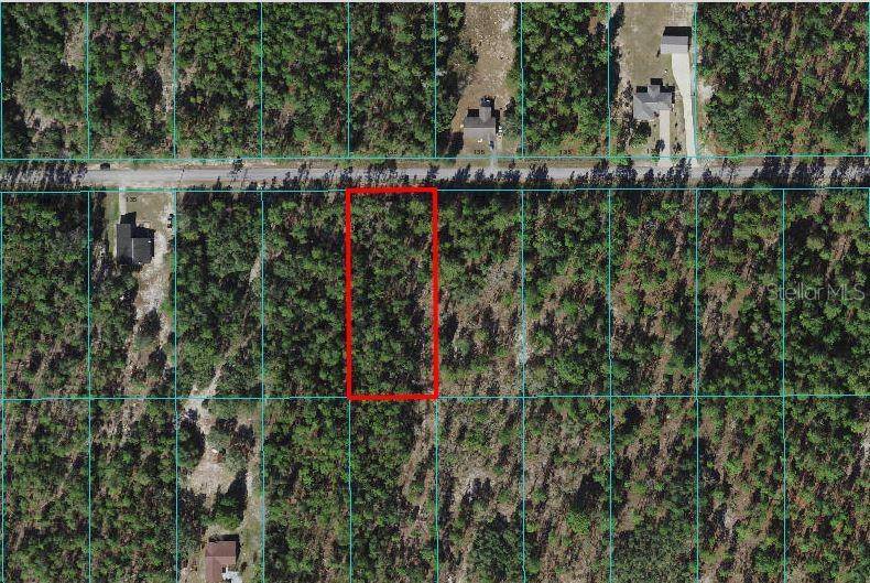 Dunnellon, FL 34431,SW BEAVER DR