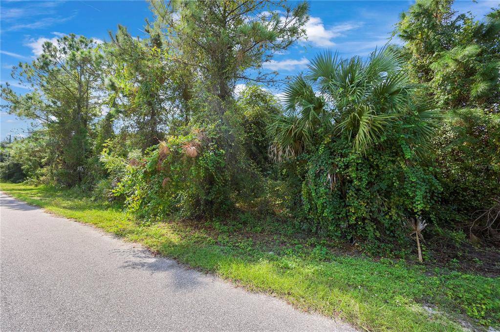 North Port, FL 34288,Lot 28 ALICEVILLE RD