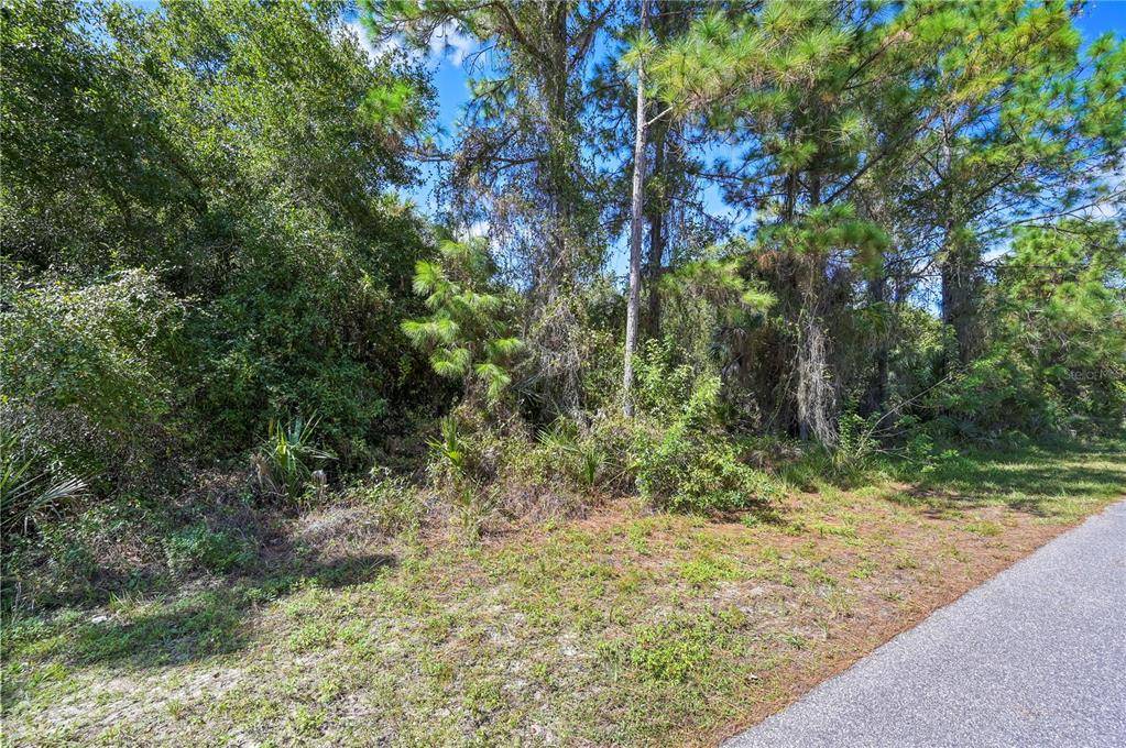 North Port, FL 34288,Lot 27 ALICEVILLE RD