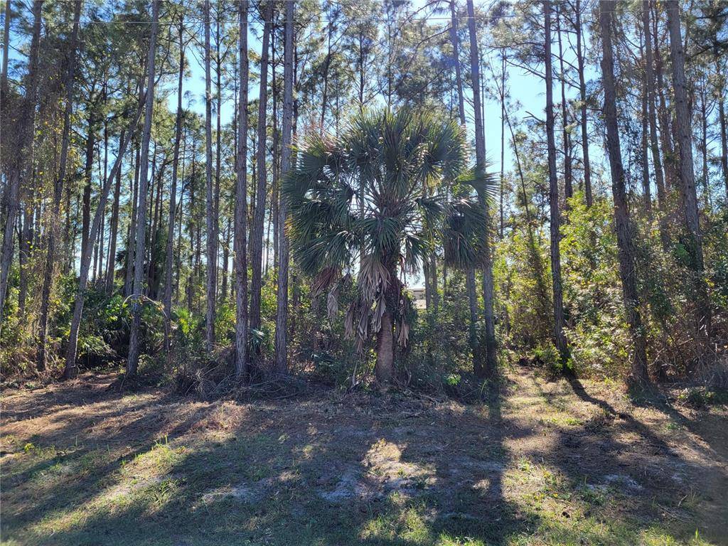 North Port, FL 34288,Lot 5 FRIEDELL AVE