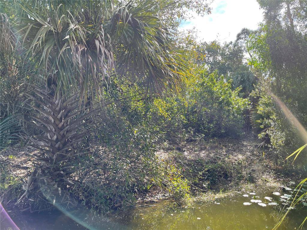 Punta Gorda, FL 33955,12152 BORAX AVE