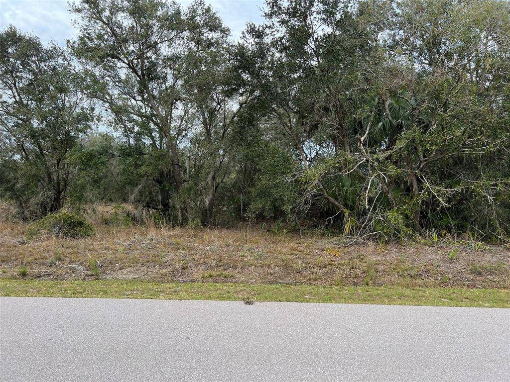 Punta Gorda, FL 33982,29324 PASSIONFLOWER ST