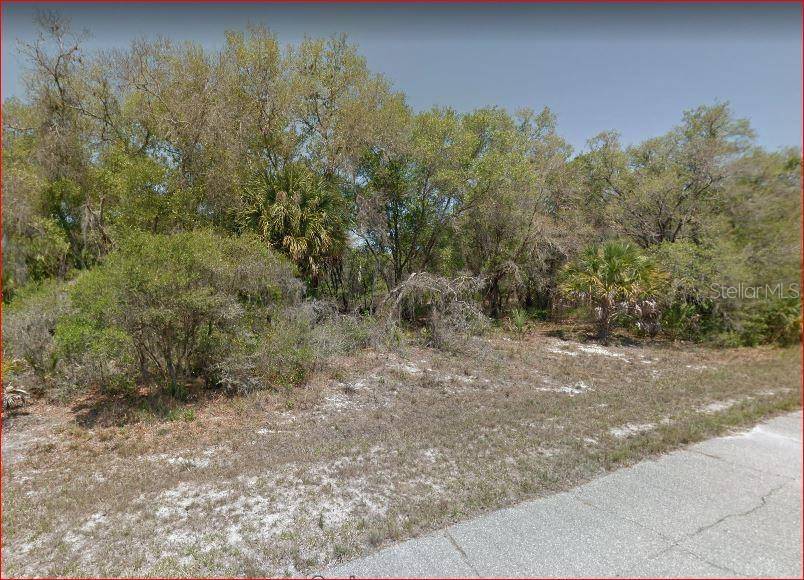 Port Charlotte, FL 33953,1297 CHRIS TER