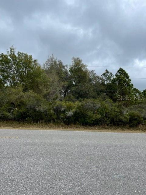 North Port, FL 34291,Lot 28 SKYVIEW DR