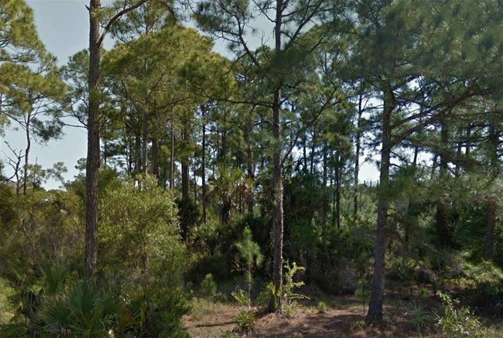 Port Charlotte, FL 33953,15058 CAROUSEL LN