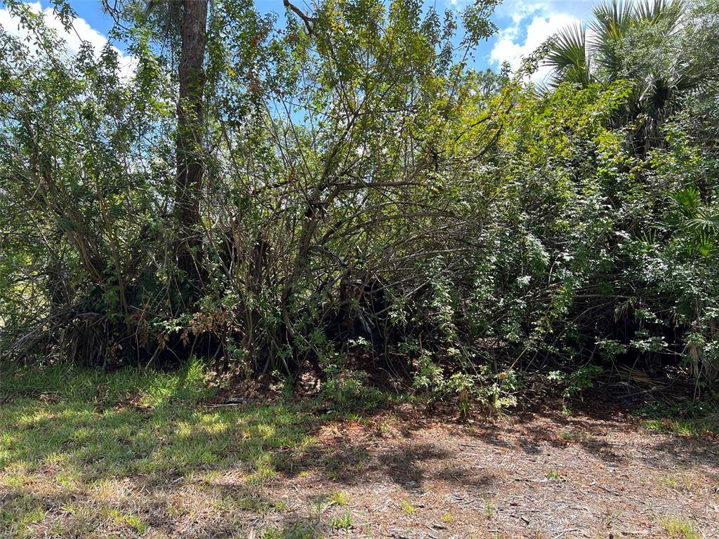 Punta Gorda, FL 33955,13106 APPLEBY DR