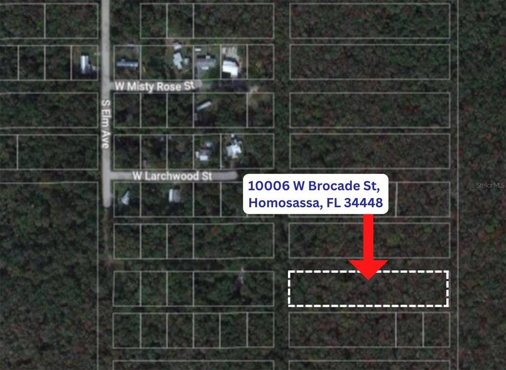 Homosassa, FL 34448,10006 W BROCADE ST