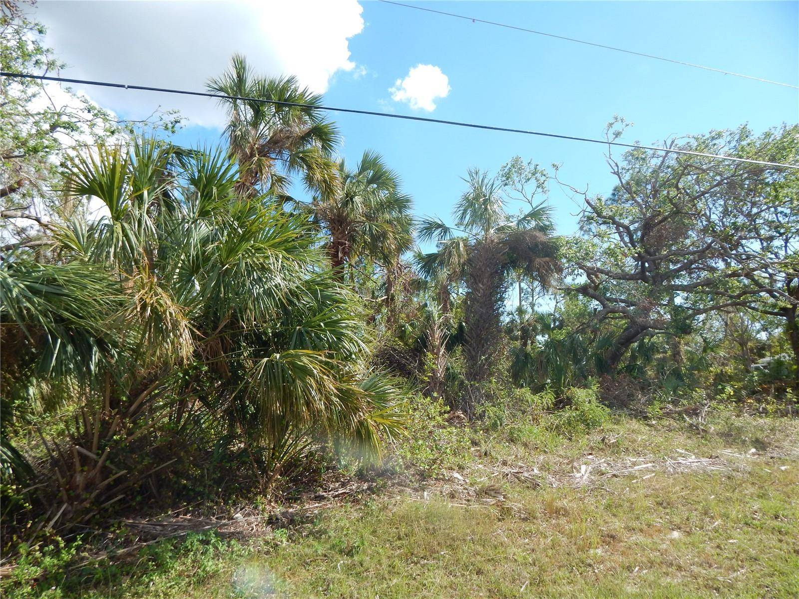 Port Charlotte, FL 33953,1292 EPPINGER DR
