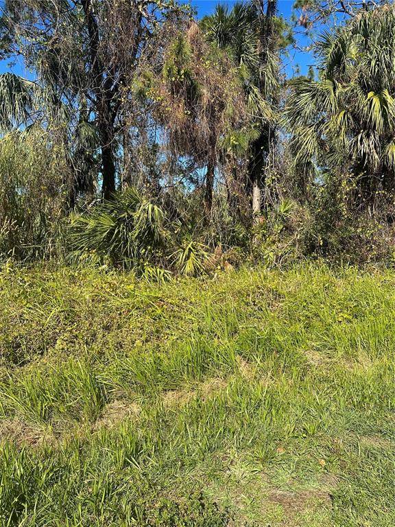 North Port, FL 34286,Lot 25 DAKOTA TER