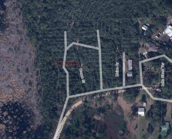 Interlachen, FL 32148,LOT 11