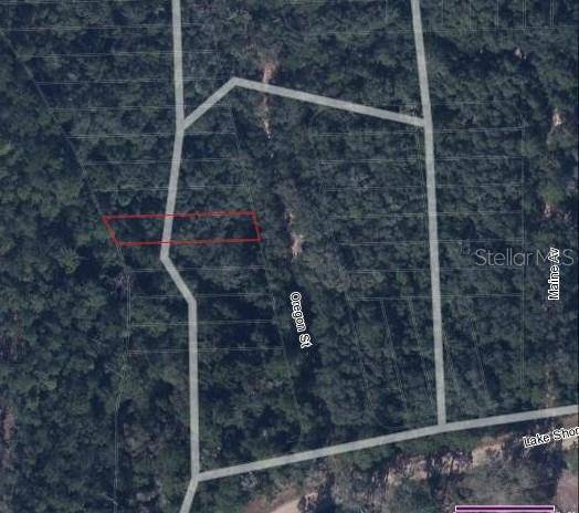 Interlachen, FL 32148,LOT 11