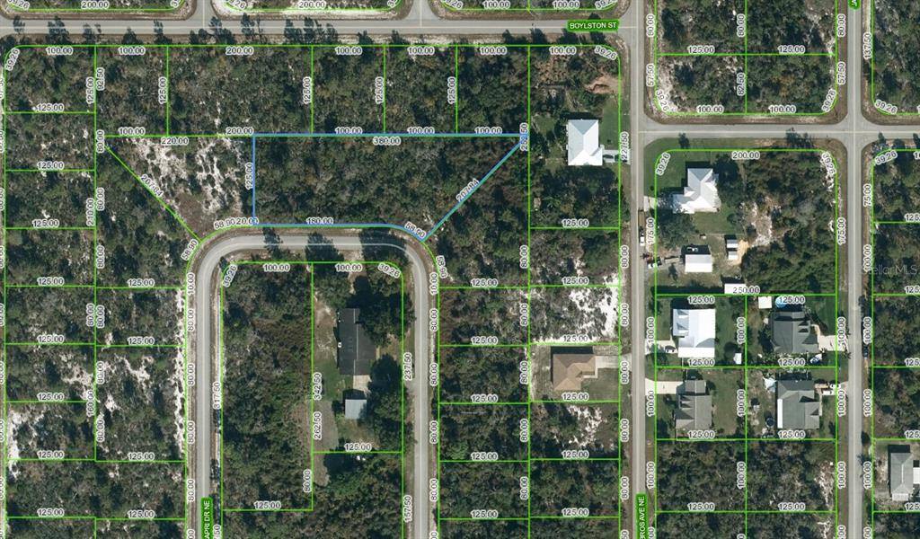 Lake Placid, FL 33852,315 CAPRI DR NE