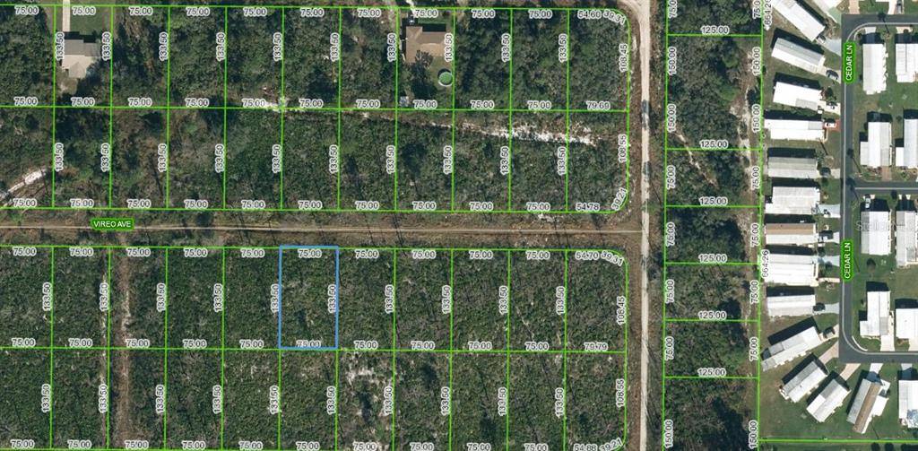 Sebring, FL 33870,222 VIREO AVE