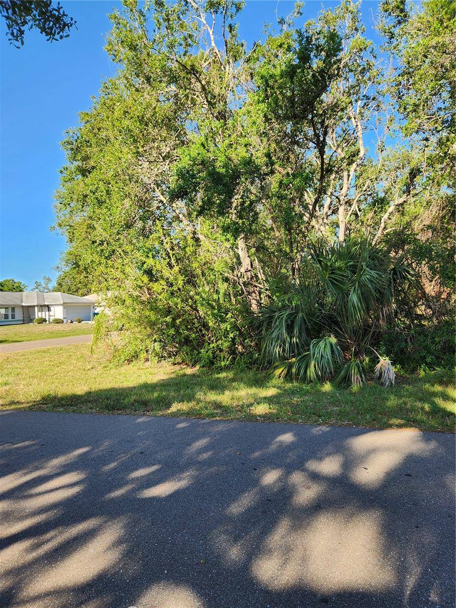 Port Charlotte, FL 33952,1141 CAZENOVIA ST