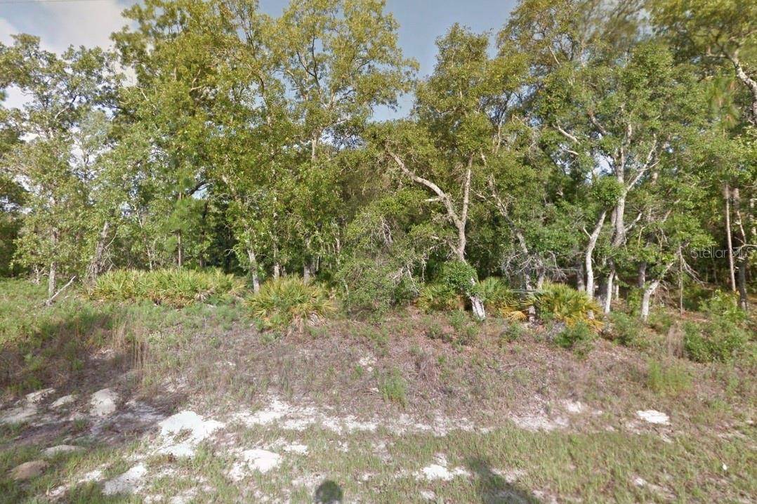 Citrus Springs, FL 34433,7327 N LIME DR