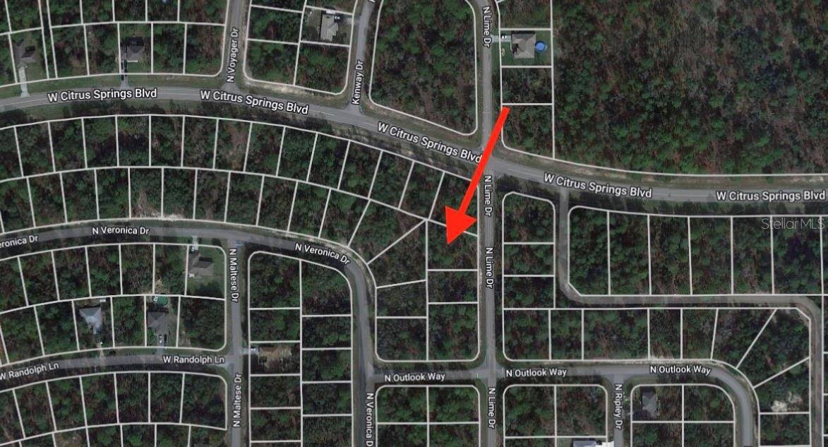 Citrus Springs, FL 34433,7327 N LIME DR