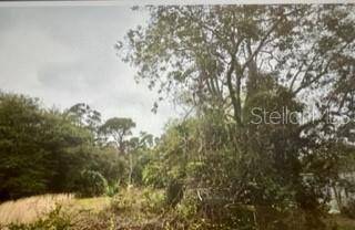 Punta Gorda, FL 33982,9315 MANDY ST