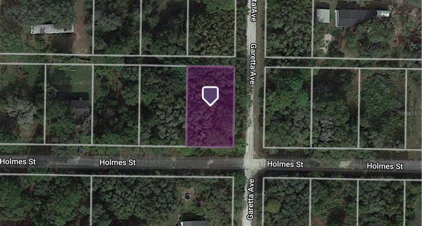 Webster, FL 33597,35365 HOLMES ST