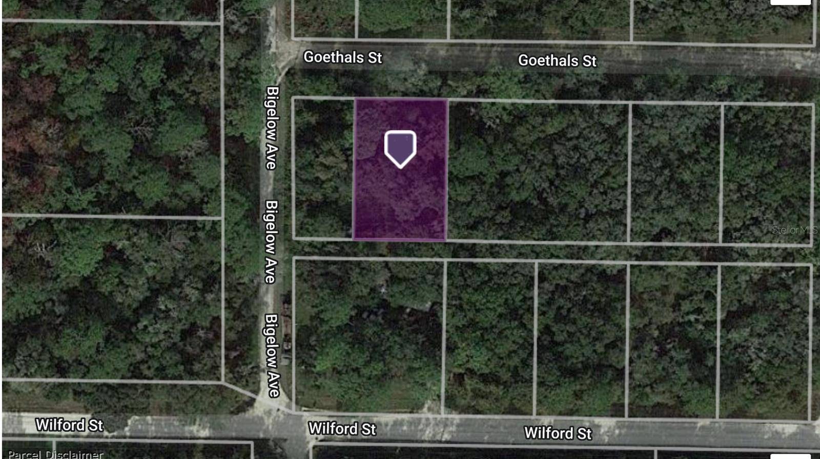 Webster, FL 33597,35306 GOETHALS ST