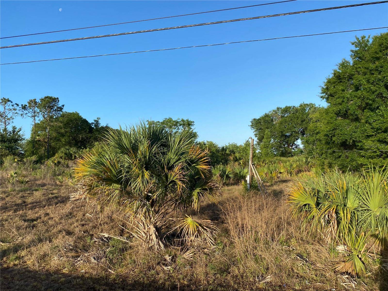Clermont, FL 34714,1403 US HIGHWAY 27