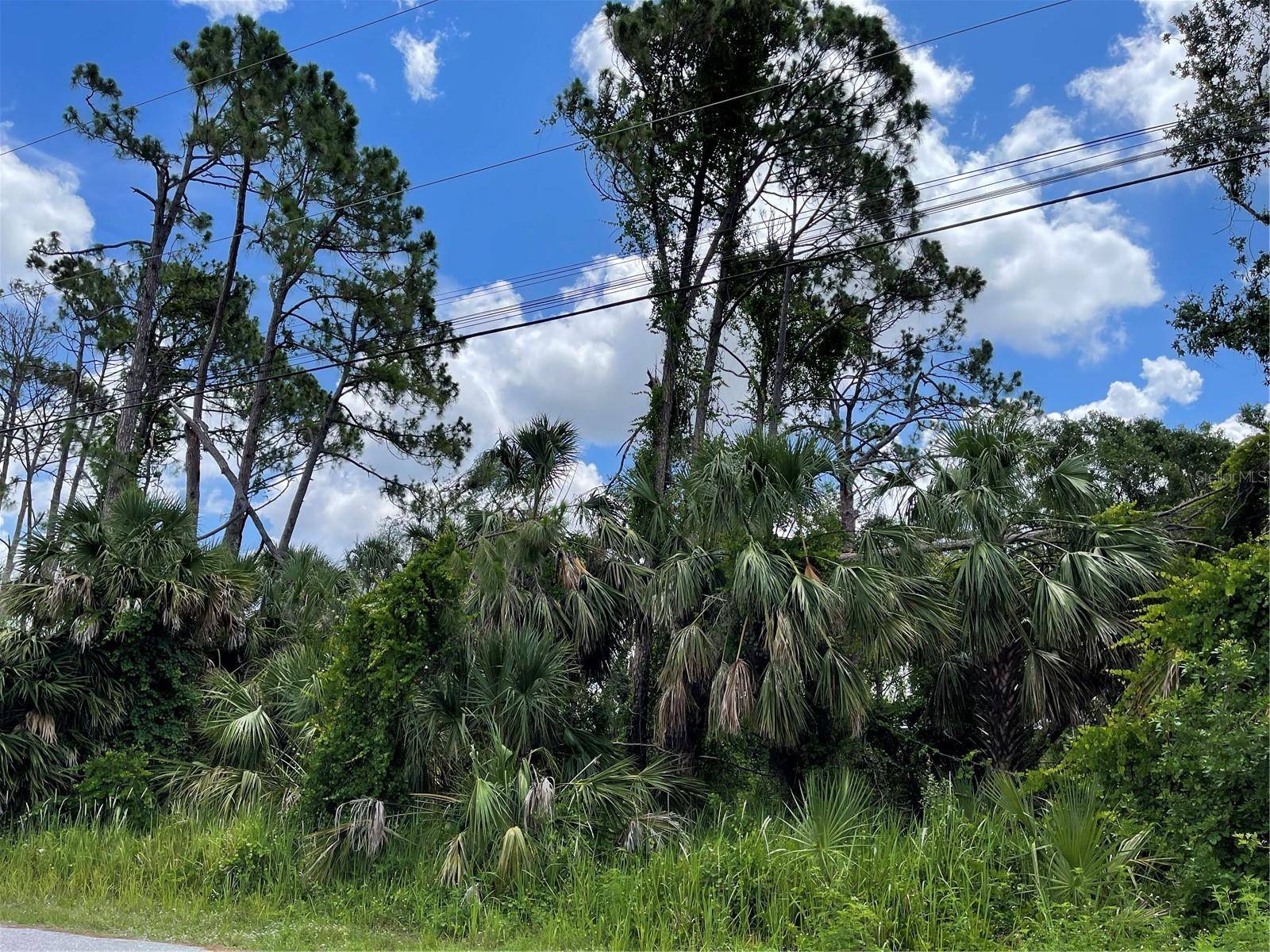 North Port, FL 34288,LOT 16 RUFUS RD