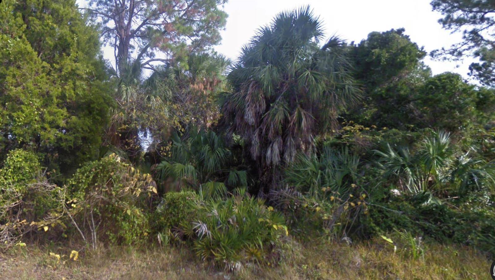 Cedar Key, FL 32625,Lot 2 SW 165TH AVE