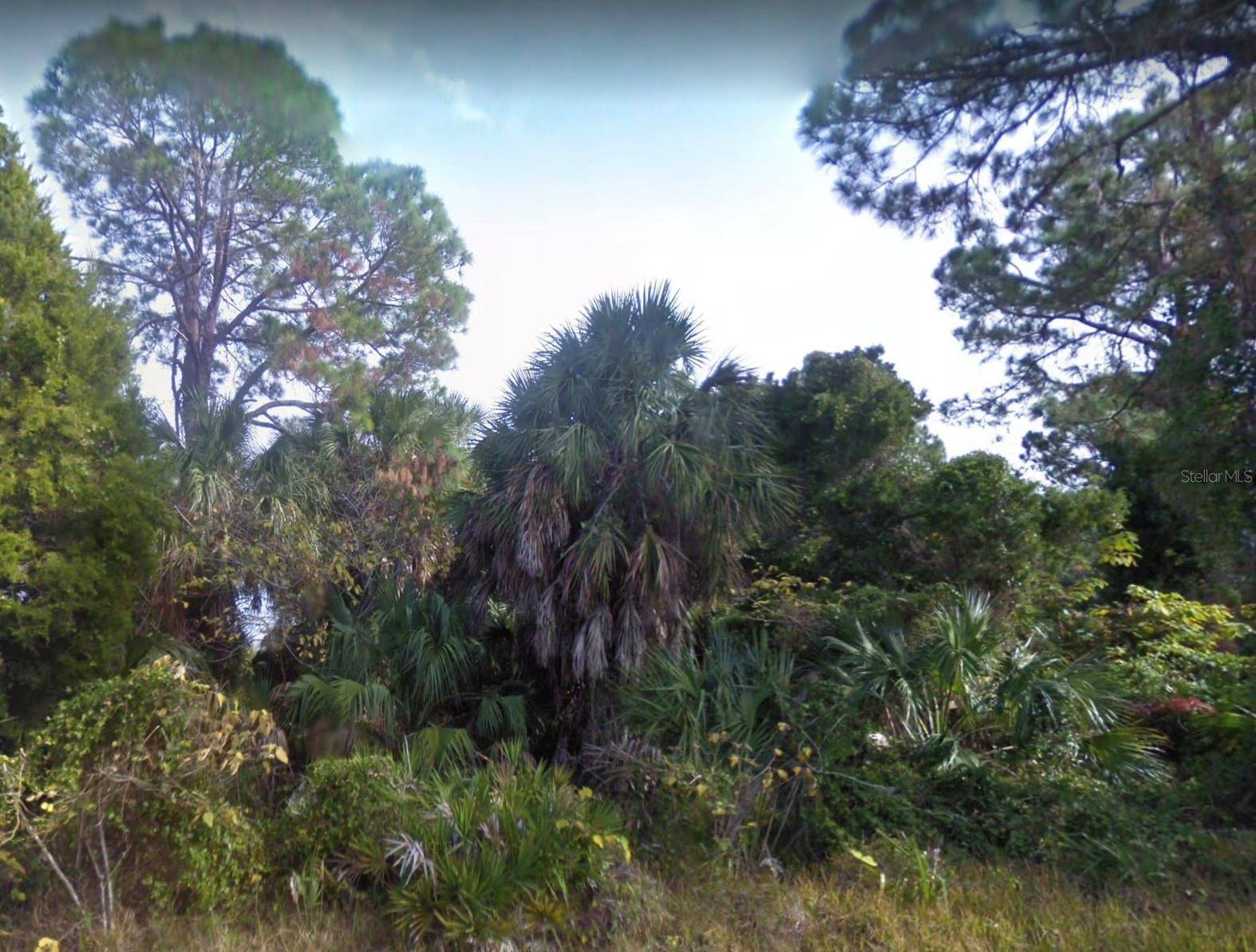 Cedar Key, FL 32625,Lot 2 SW 165TH AVE