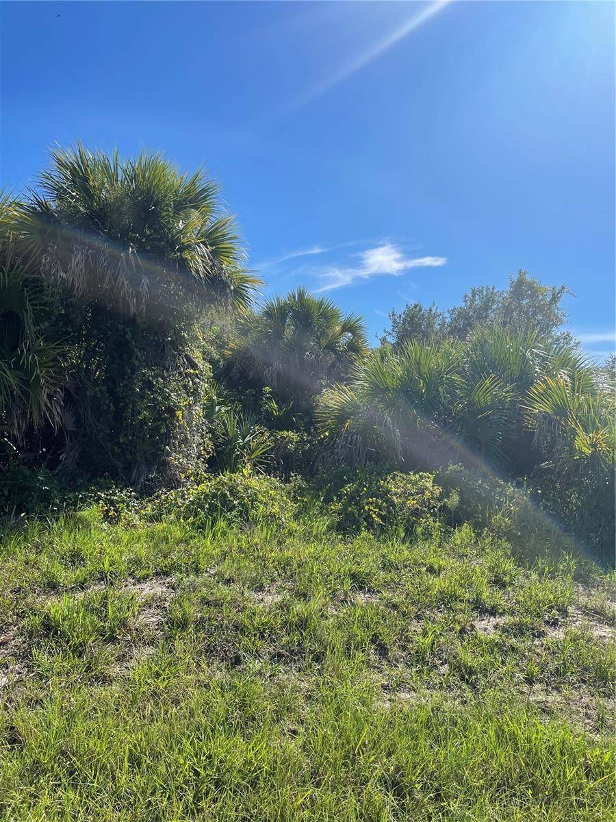 Rotonda West, FL 33947,254 SUNSET RD