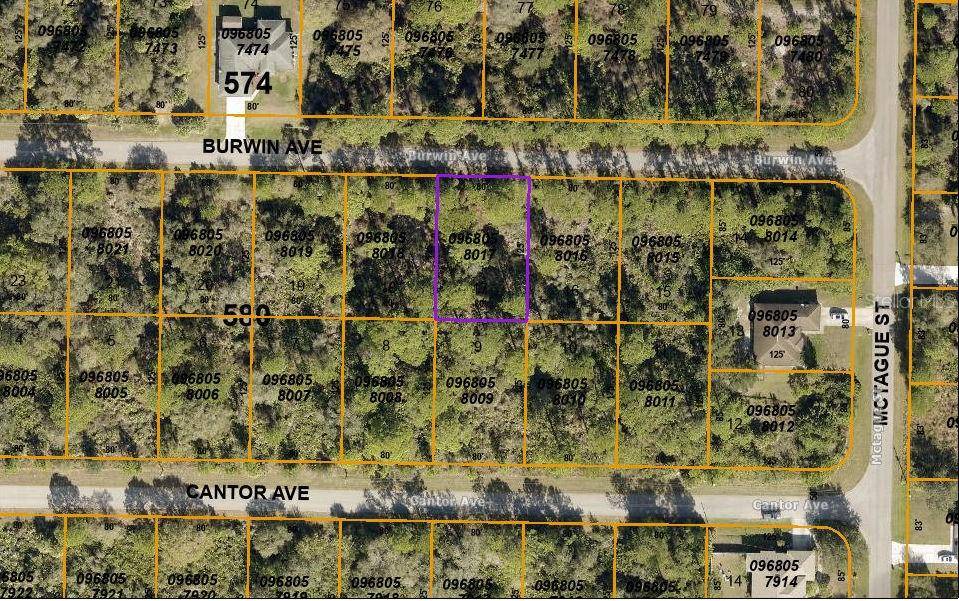 North Port, FL 34291,Lot 17 BURWIN AVE