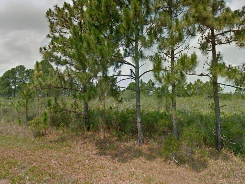 Lake Placid, FL 33852,353 NORSEMAN AVE NW