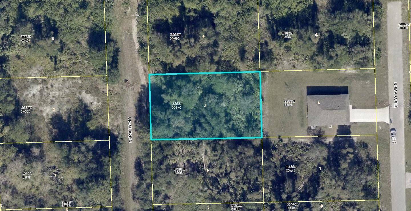 Lehigh Acres, FL 33971,5904 UNICE AVE N