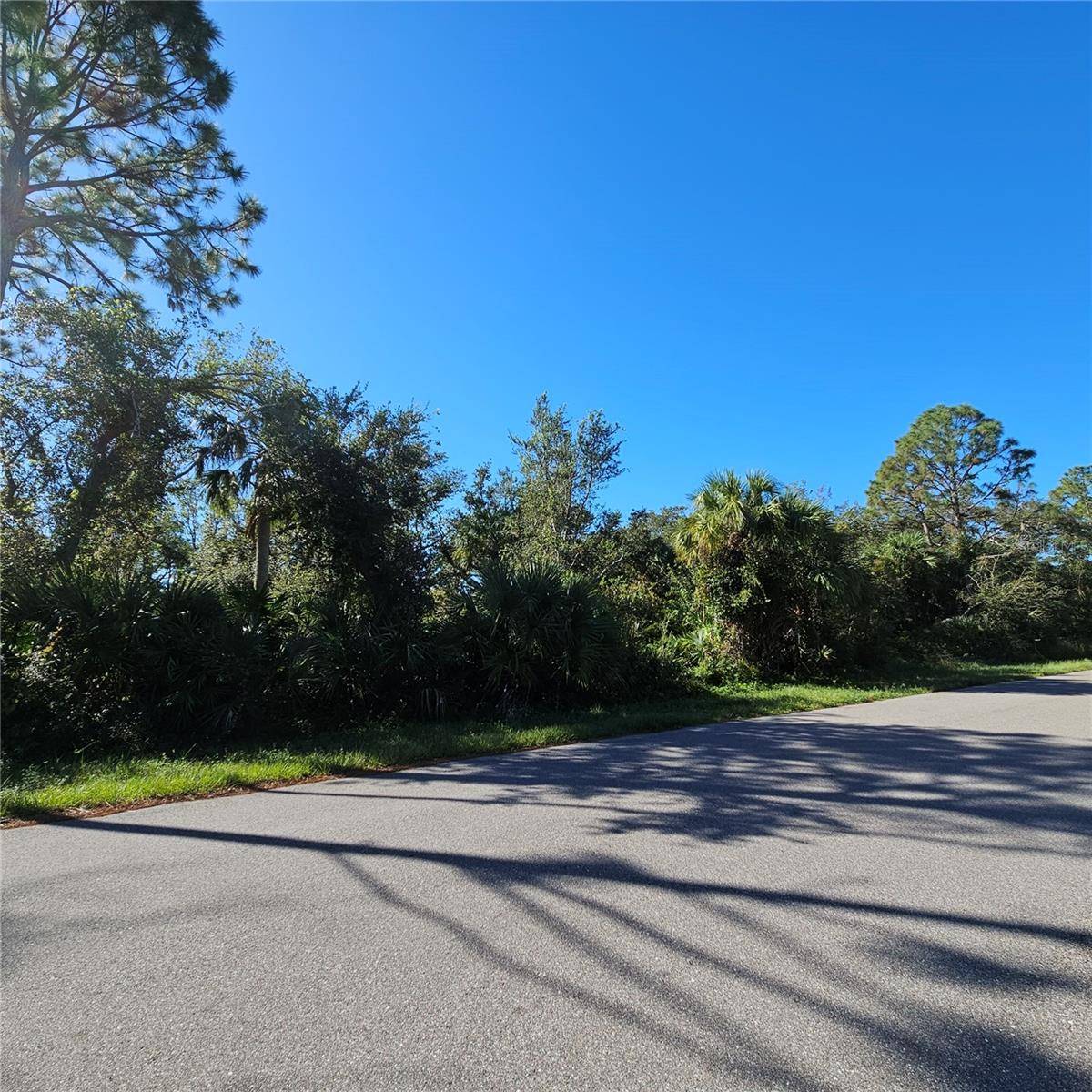 Port Charlotte, FL 33948,17455 YOUNG AVE