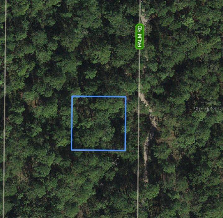 Sebring, FL 33875,5017 PALM RD