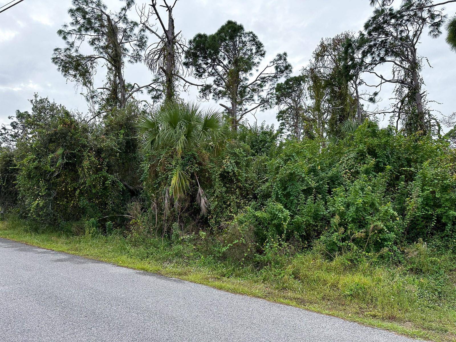 North Port, FL 34288,LOT 5 ENSLEY TER