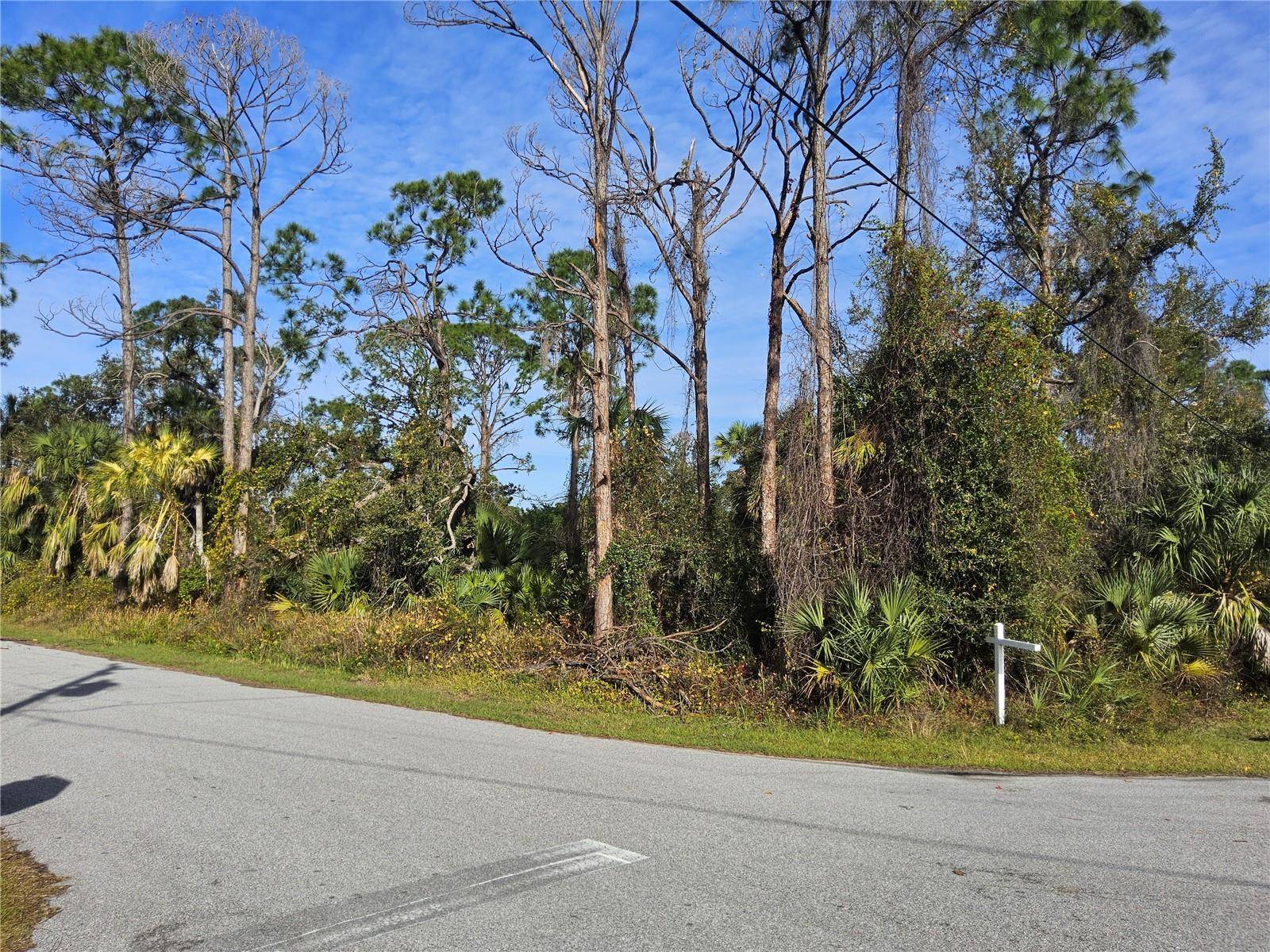 North Port, FL 34288,LOT 8 CAESAR RD