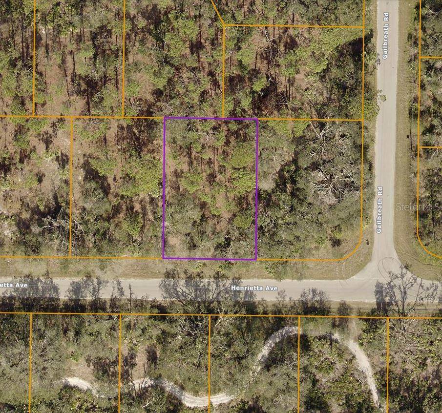 North Port, FL 34291,Lot 12 HENRIETTA AVE