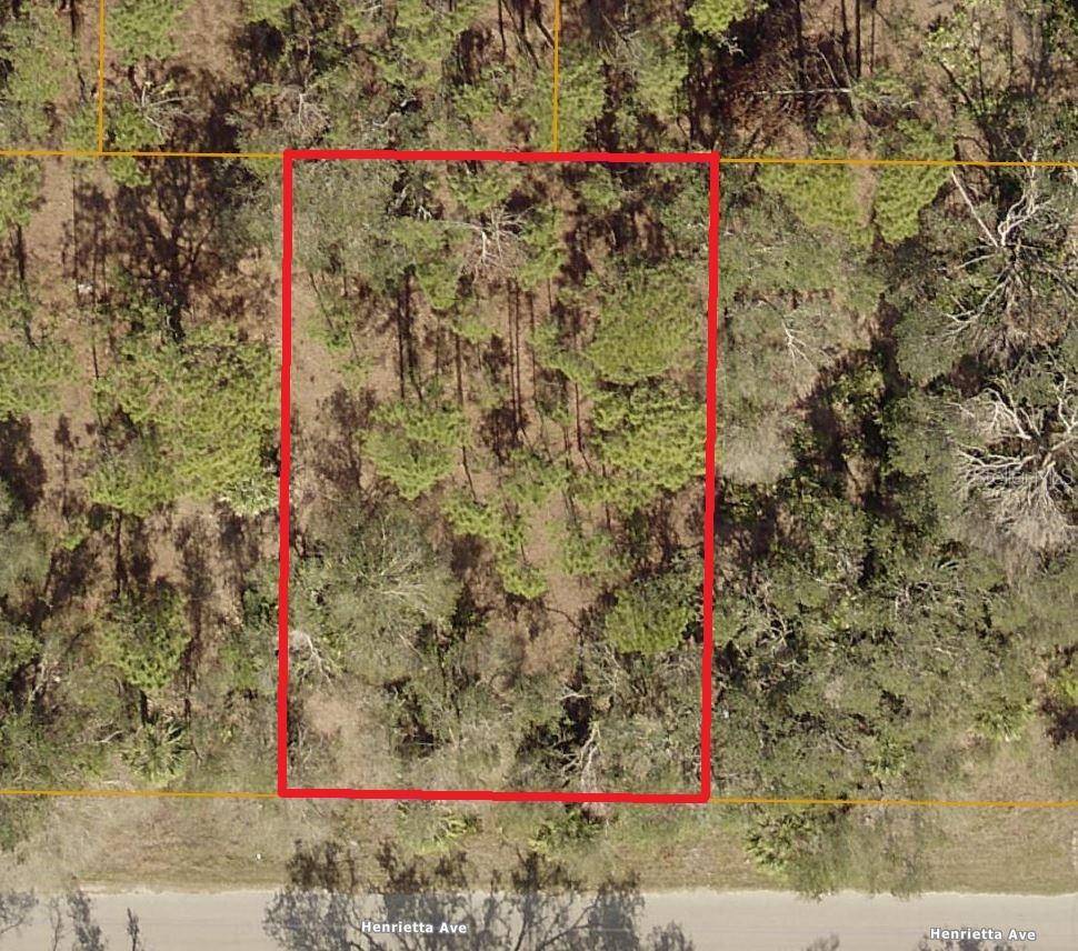 North Port, FL 34291,Lot 12 HENRIETTA AVE