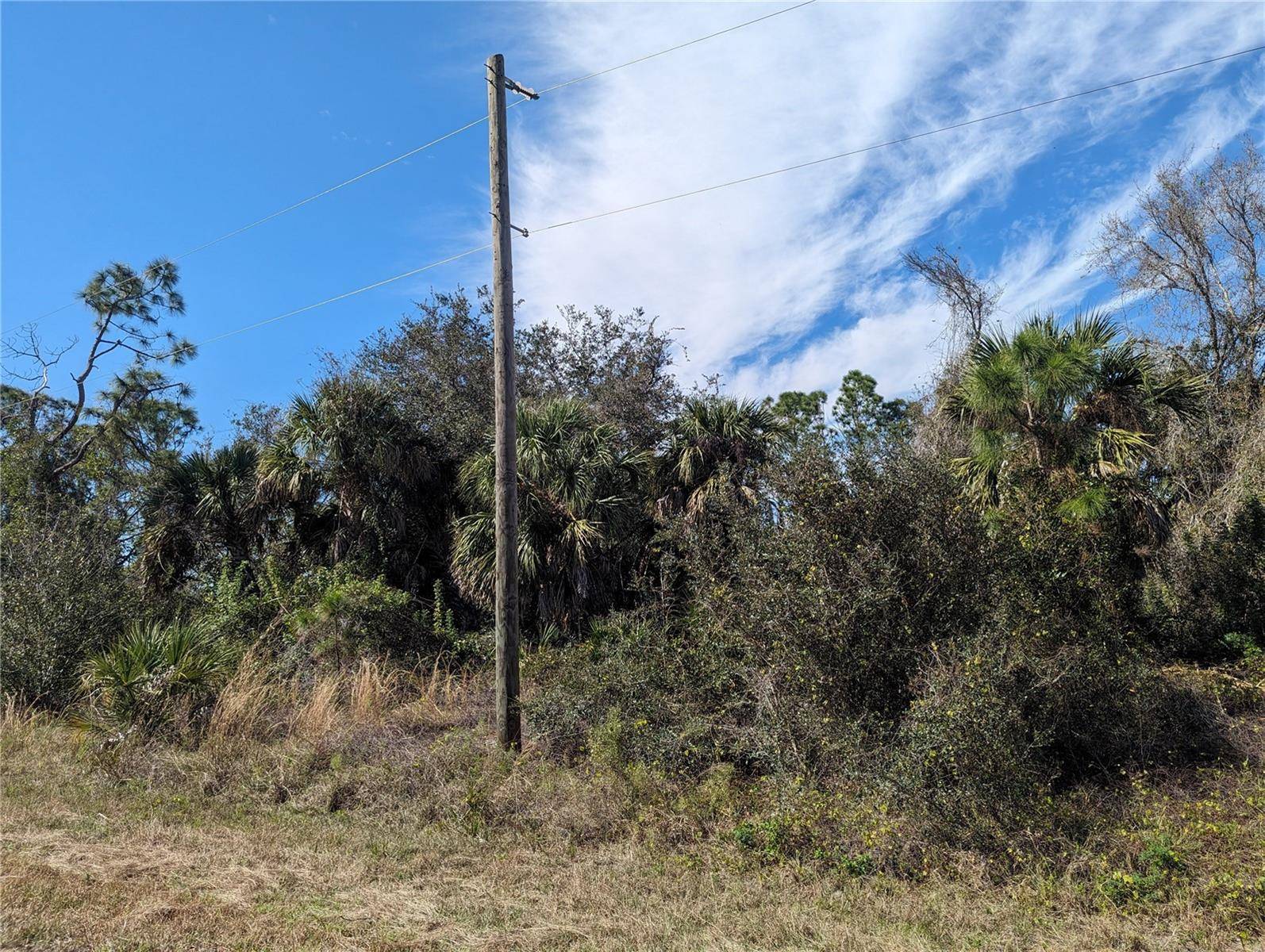 North Port, FL 34288,Lot 15 NEWMAN DR