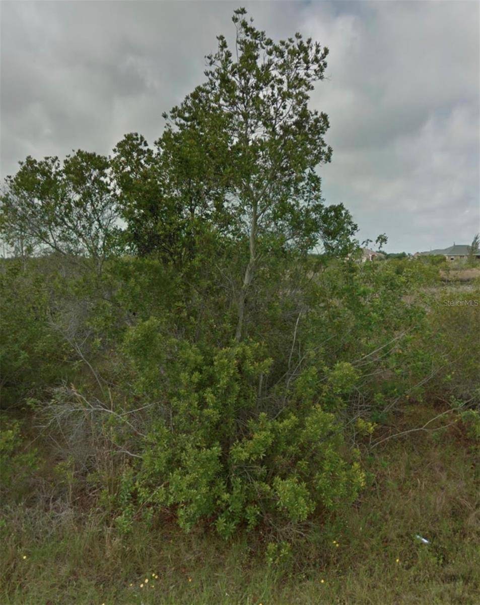 Port Charlotte, FL 33981,15842 VISCOUNT CIR