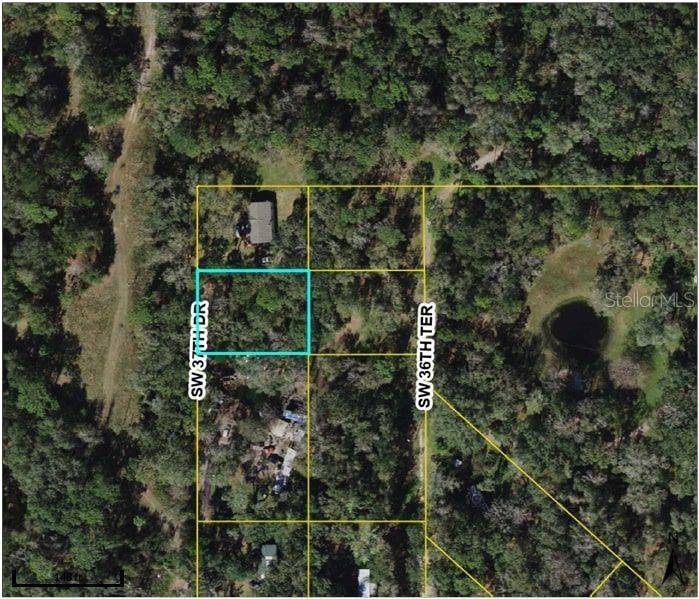 Webster, FL 33597,11779 SW 37TH DR