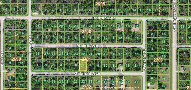 Port Charlotte, FL 33948,17442 GALAHAD AVE