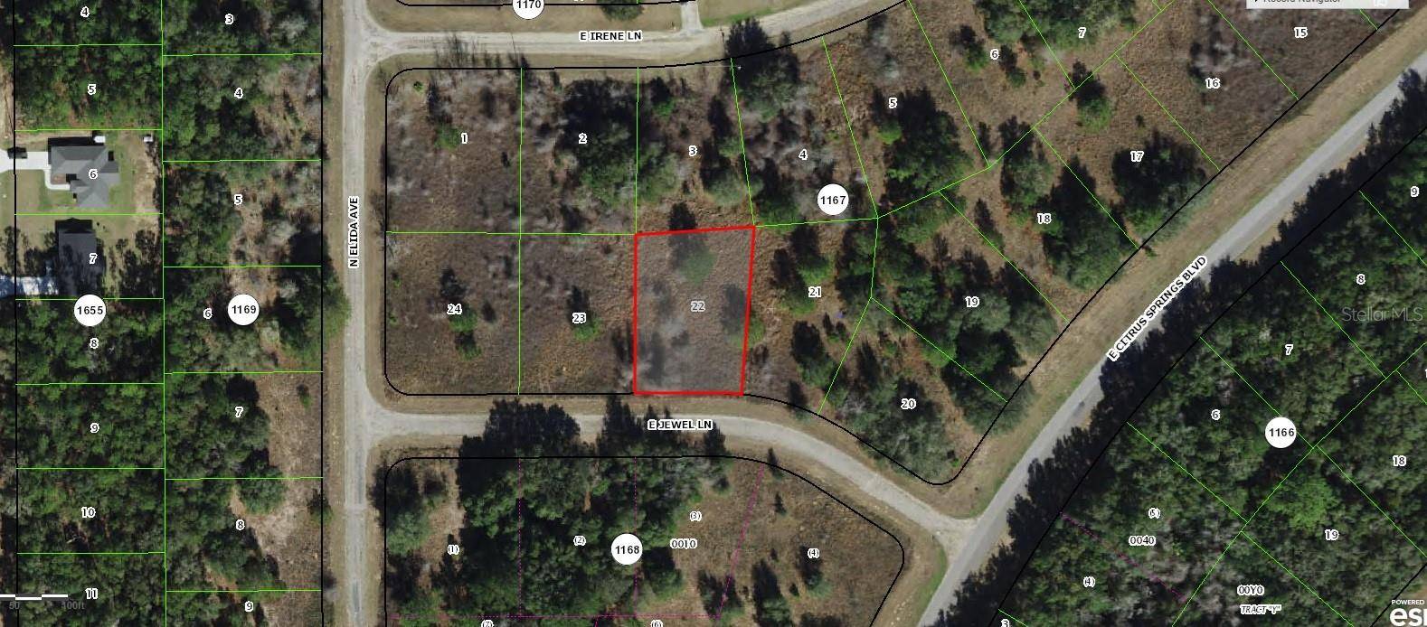 Dunnellon, FL 34434,599 E JEWEL LN