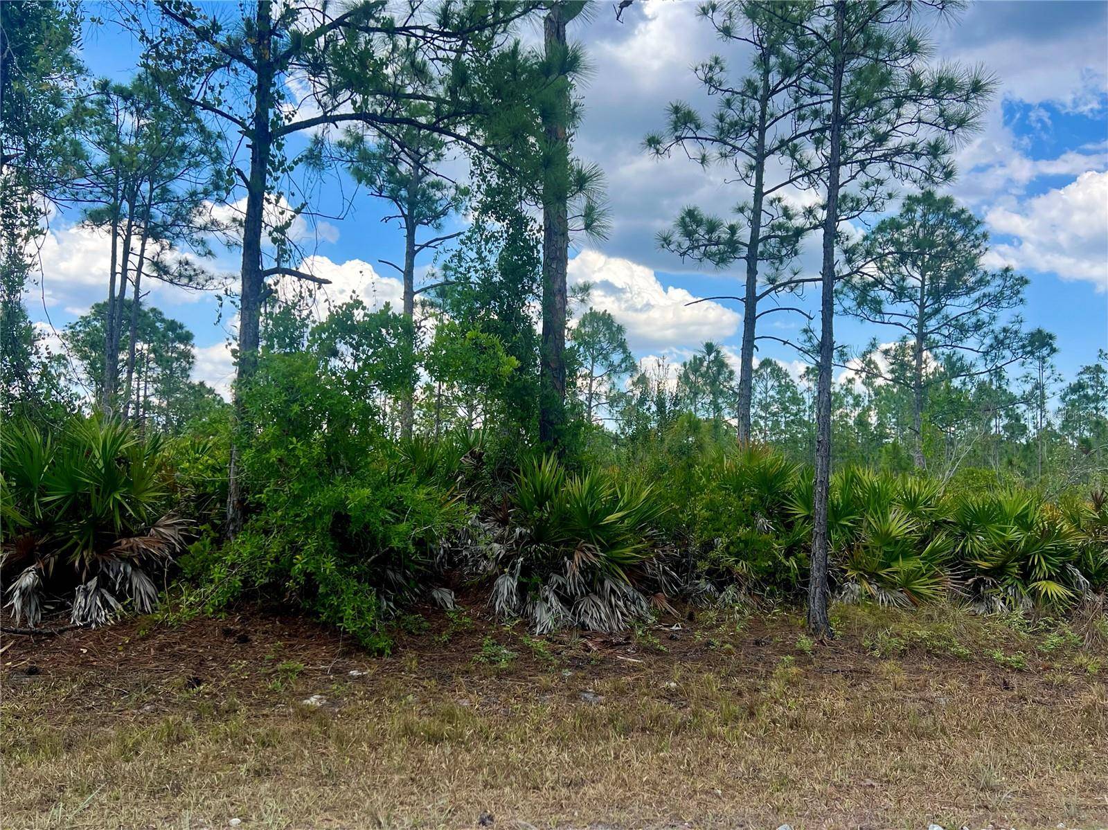 Punta Gorda, FL 33955,12308 ESCUELA DR