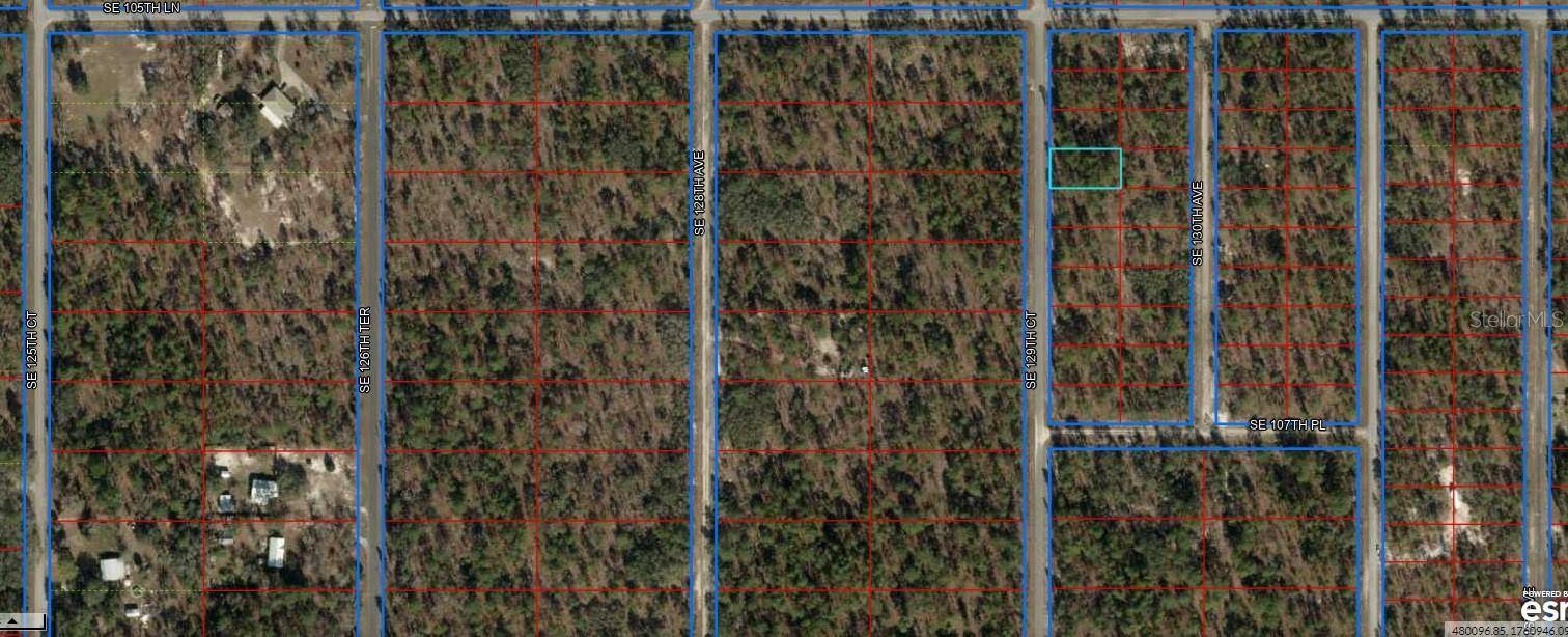 Dunnellon, FL 34431,0 SE 129TH CT