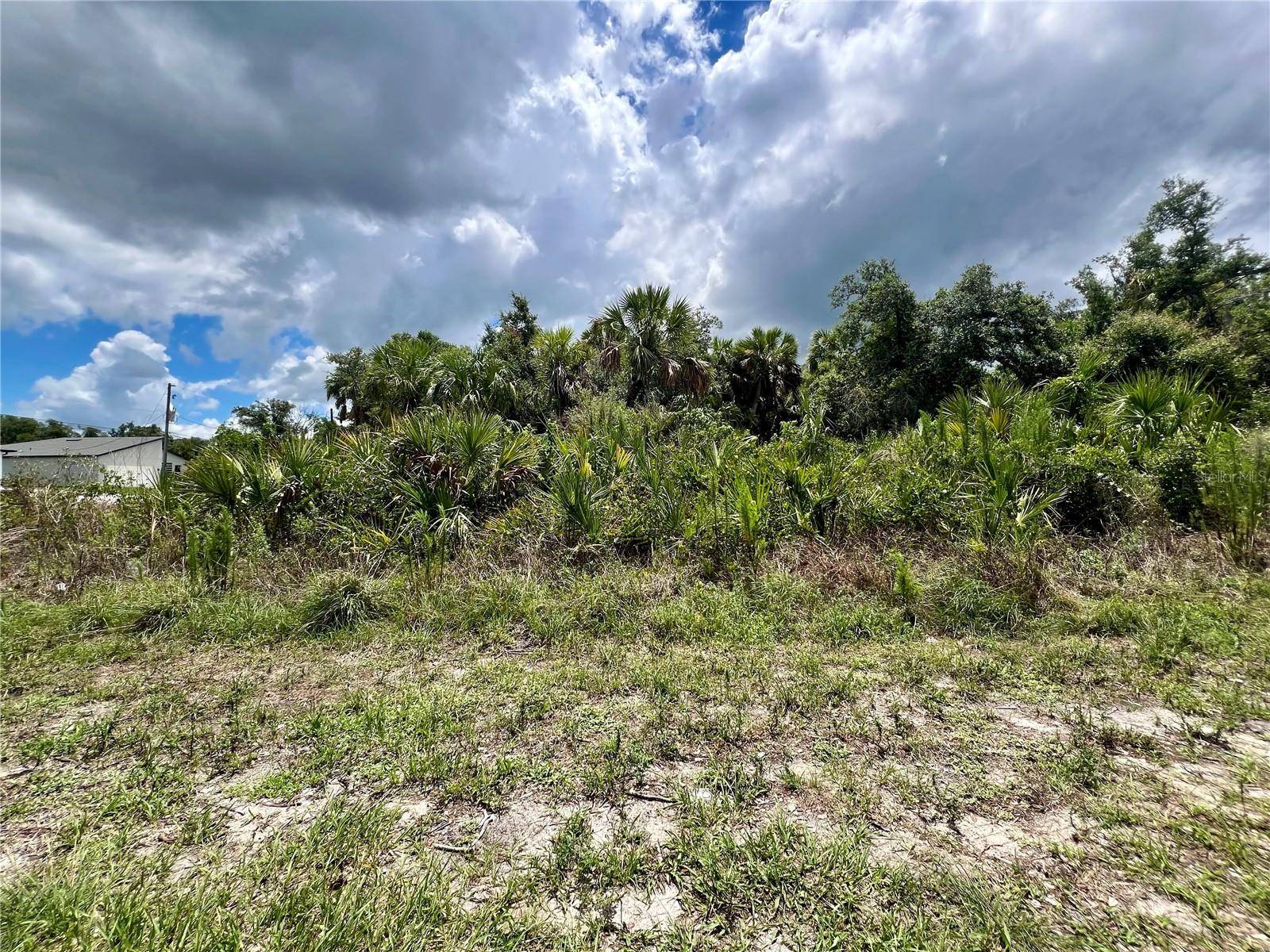 North Port, FL 34288,LOT 23 NASHVILLE RD