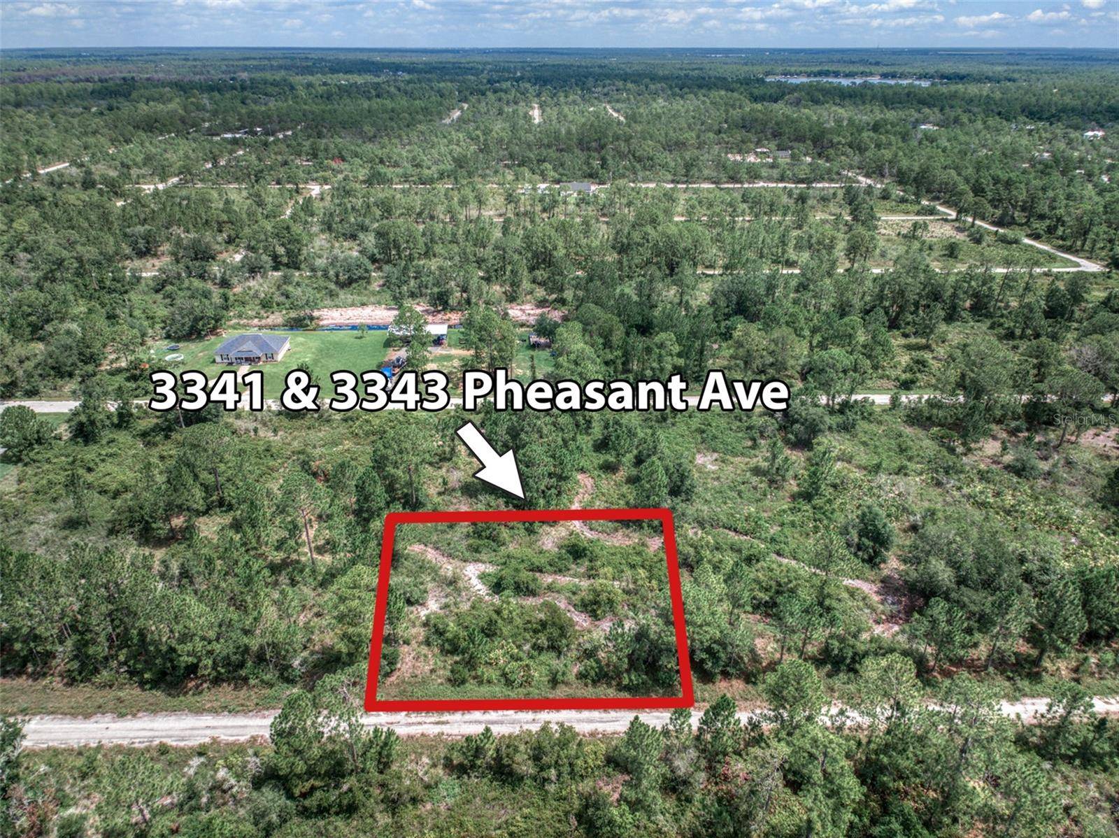 Lake Placid, FL 33852,3343 PHEASANT AVE