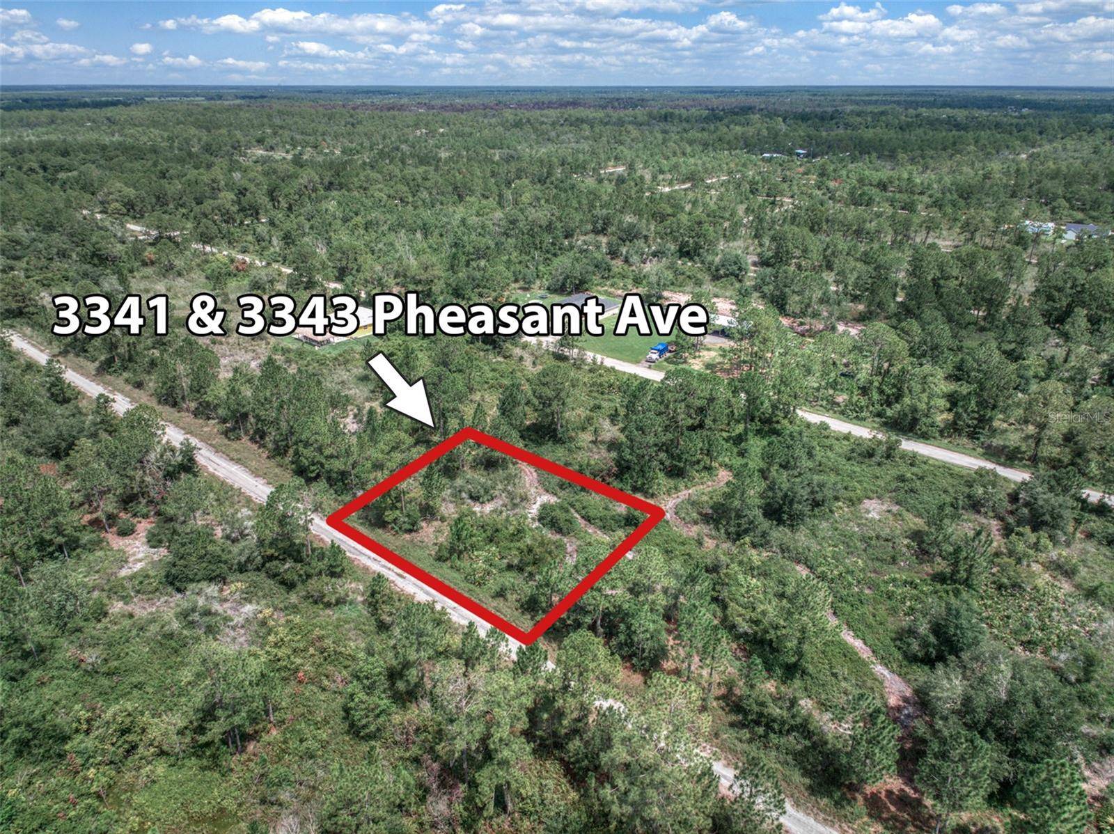 Lake Placid, FL 33852,3341 PHEASANT AVE