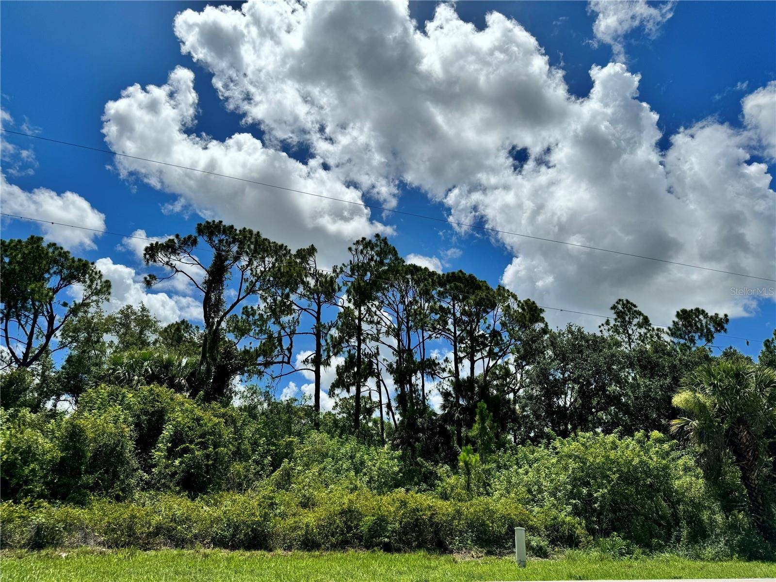 Port Charlotte, FL 33954,255 RAVENSWOOD BLVD